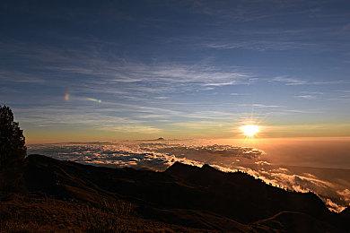 《地平线》差评轰炸后 MTC将引入更严厉的审核